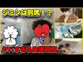 【BTS】ジミンがビジネスクラス?盗撮写真はどれ?インスタの投稿が話題に、、、