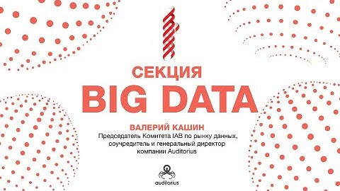 Валерий Кашин. Big Data