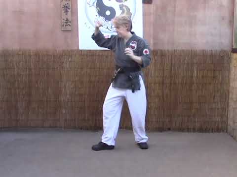 White Tiger Kenpo Orange Belt Heel Hook AB
