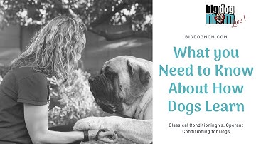 Classical vs Operant Conditioning for Big Dogs (Made Simple)