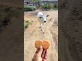 Pet ❤️ Friends: Calf & Golden Retriever Share a Bread! 🐮🐶 #shorts #animalfriendship #goldenretriever