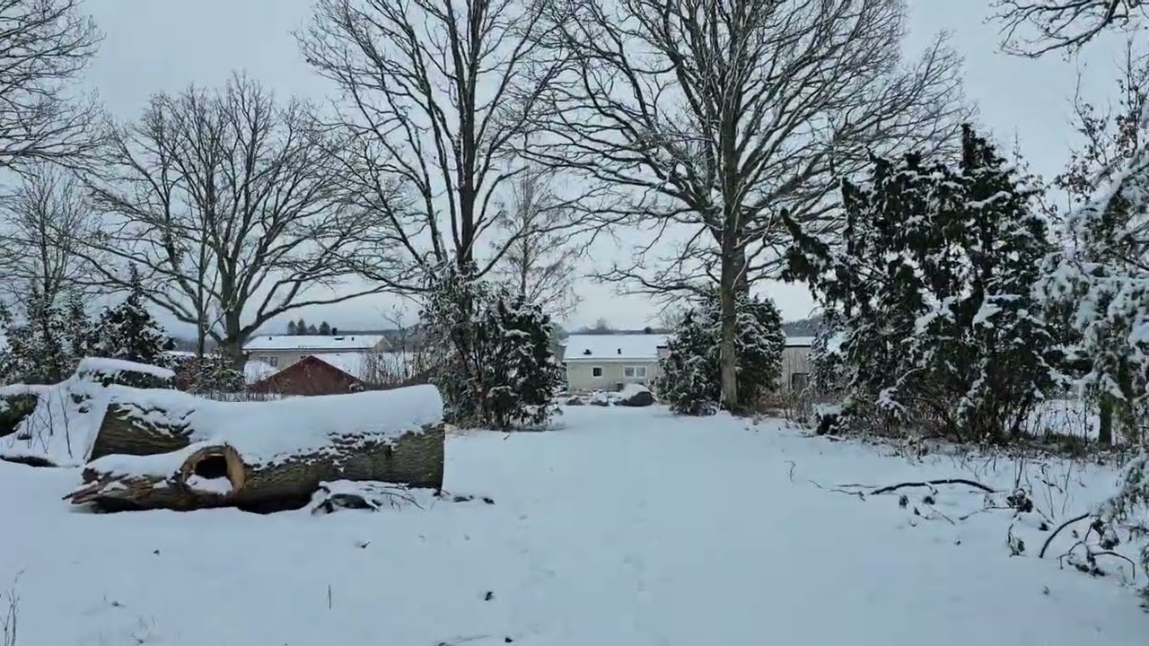 เดินชมหิมะกัน 