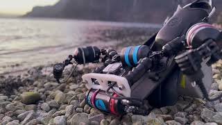 Galeus Melastomus. Blackmouth Catshark. Piłogon. Resimi