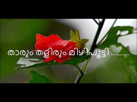 Malayalam Melody Songs Tharum Thalirum