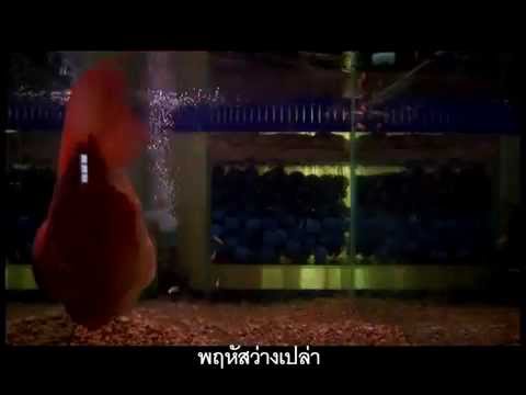 [MV]วันเดือนปี - เจี๊ยบ วรรธนา OST.Final Score 365 วัน ตามติดชีวิตเด็กเอ็นท์