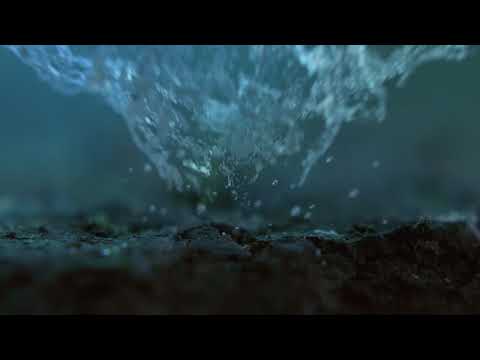 شاي ليبتون الطبيعة مصنعنا