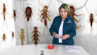 Water Quality:  Ask the Bugs