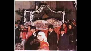 Orchidea - M Nicola Corbascio