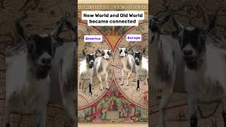 Apush Review Unit 1 Period 4