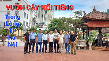 CHIÊM NGƯỠNG toàn cảnh vườn cây NỔI TIẾNG * THÀNH CÔNG KỲ VIÊN * TP HÀ NỘI - đt : 0906185888 .