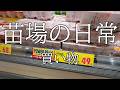 （576）苗場ひとり暮らし　買い物