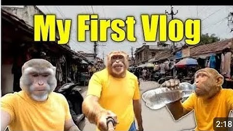 The monkey vlog #viral monkey video my first vlog