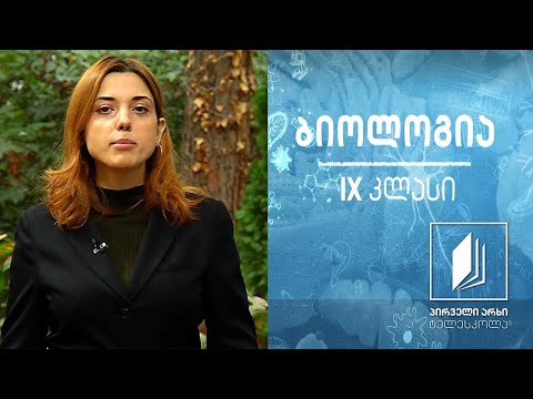 ბიოლოგია IX კლასი - მემკვიდრული ნიშნების გაცემა ადამიანებში. გენეტიკური/მემკვიდრული დაავადებები