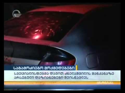 სპეციალისტებმა დავით ძნელაშვილის მანქანაზე არსებული დაზიანებები შეისწავლეს Low