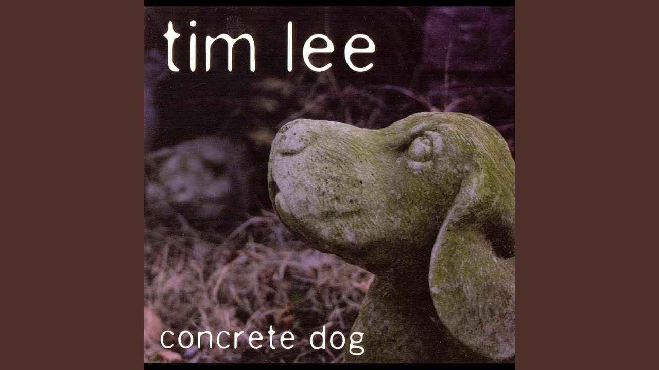 Greyhound from Jackson