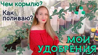 видео: Мои УДОБРЕНИЯ | Как поливаю растения? картинка: Мои УДОБРЕНИЯ | Как поливаю растения?