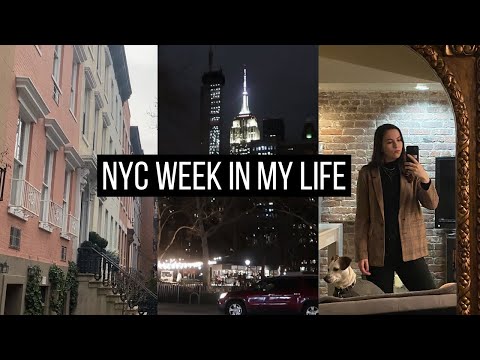 NYC WEEK IN MY LIFE | fun evenings, productive WFH, dog updates
