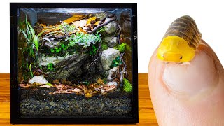 DIY Rubber Ducky Isopod Dripping Cave Vivarium by SerpaDesign 601,317 views 6 months ago 10 minutes, 44 seconds