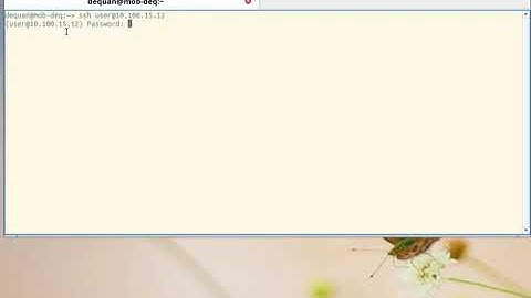 openSUSE tumbleweed ssh