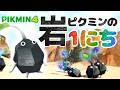 岩ピクミンの1日【ピクミン4】【PIKMIN4】Rock Pikmin's Routine