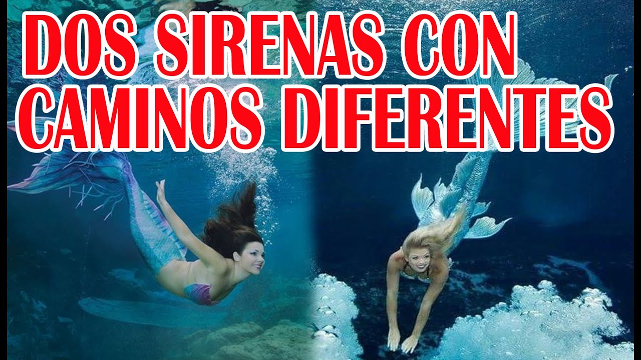 Ciudad De Las Sirenas Programa De Televisión