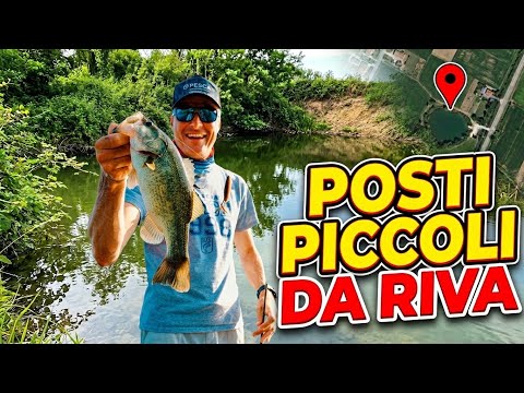 HOW TO FIND BASS FROM THE SHORE - Small spots