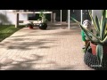 Freetime Ragno — видео