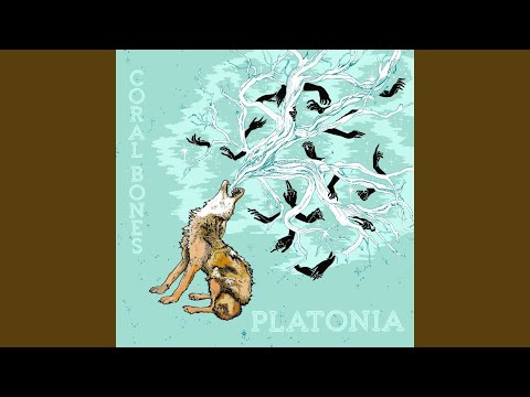 Platonia