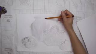 Học vẽ Tranh tĩnh vật (Part 40) | tiếp tục series Vẽ bình hoa quả | Tập vẽ phác hoạ ảnh tĩnh (3)