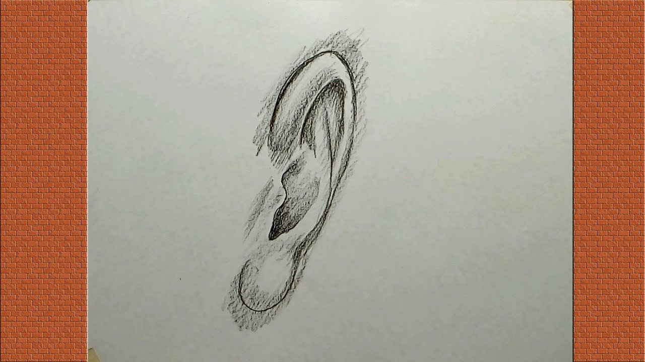 How To Draw An Ear From Front View Of The Face Youtube