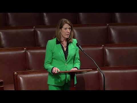 Axne Highlights Her Veteran Mental Health Bill on House Floor