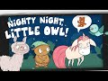 Nighty Night Little Owl needs help to Sleep & Rhyme!