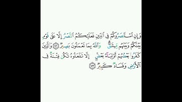 8 - سورة الأنفال ٧٢ (الجزء الثاني) - ٧٣ - علي الحذيفي