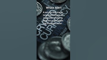 Whale Alert | Must-Know Cryptocurrency Terms Explained Simply