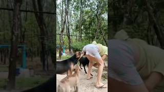 El perro huele culo🤣🤣