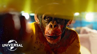 Nope | Gordy the Monkey's Rampage by Universal Pictures 118,503 views 4 weeks ago 8 minutes, 29 seconds