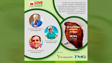 O que são nematóides das galhas e de cistos?