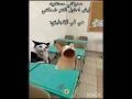 بس ما اقدر اوقف الضحكة😭#fyp#funny #مهتما بي هذا المحتوي فولو مي #cat قربنا لي 15kاشتركو #اكسبلور