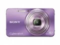 Sony Cyber-Shot DSC-W570 16.1 MP Digital Still Camera with Carl Zeiss Vario-Tessar 5x Wide Best