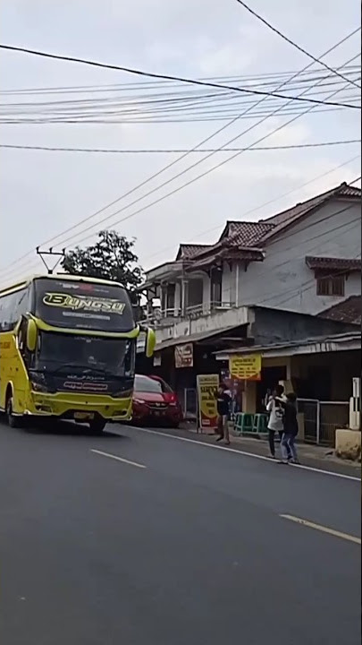 #basuri bus setia negara,bungsu #busmania