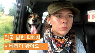 한국 남편으로부터 해방!! 러시아로 도망 왔어요. 한국 자막. Убежала от мужа-корейца в Россию:)