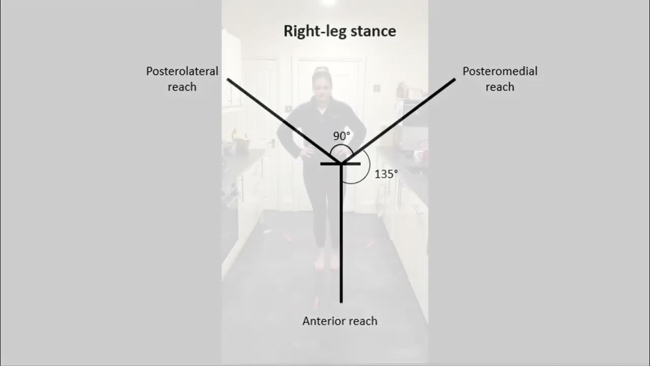 modified star excursion balance test (sebt)