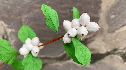 ABC TV | How To Make Snowberry Branch With Crepe Paper - Craft Tutorial