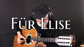 Have you ever heard Für Elise  on a 12- String Guitar??