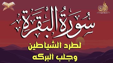 "سورة البقرة – مفتاح للبركة والحماية من الشرور | تلاوة خاشعة تملأ قلبك بالطمأنينة"