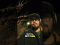 Vlog 4 🎥 - Intro to python module 2 done