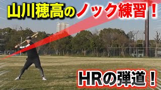 新庄剛志が絶賛…山川穂高選手のノック練習を完全再現！