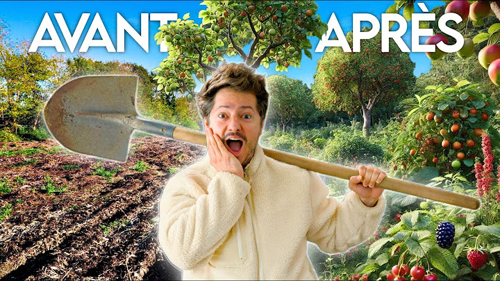 Je crée une FORÊT COMESTIBLE (je pars de zéro)