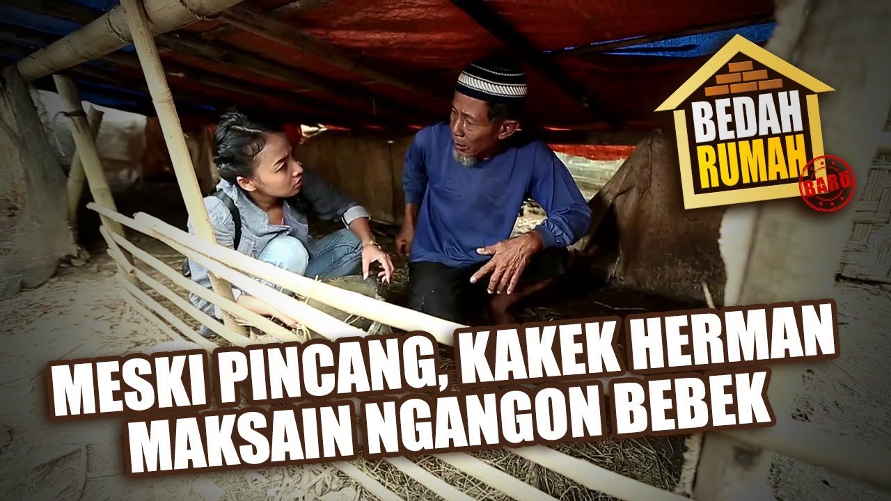BEDAH RUMAH EPISODE 362 - Meski Pincang, Kakek Herman Maksain Ngangon Bebek