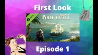 Brinefall Gameplay Demo First Look - Survival RPG Hack & Slash Episode 1
